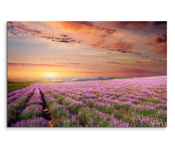 120x80cm Wandbild Lavendelfeld Abendrot Sonnenuntergang