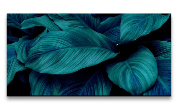 Leinwandbild 120x60cm Grüne Blätter Dekorativ Pflanzen Kunstvoll Fotokunst