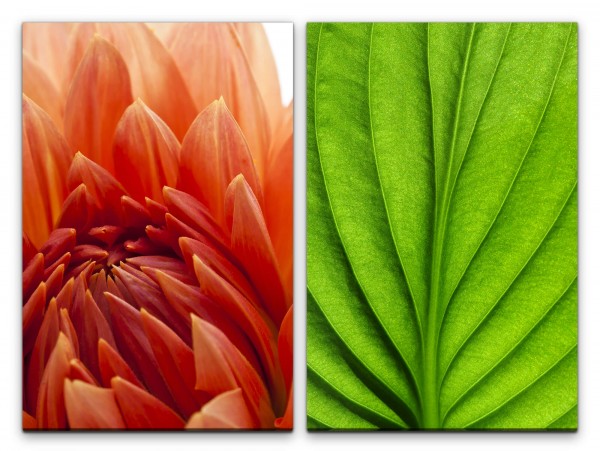 2 Bilder je 60x90cm Dahlie rote Blume grünes Blatt Blattstruktur Dekorativ Harmonisch Fotokunst