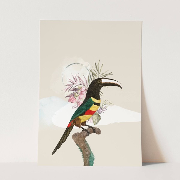 Vogel Motiv Tukan Exotisch Tropisch einzigartiges Design Pastelltöne