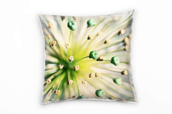 Macro, Natur, Pflanze, grün, beige Deko Kissen 40x40cm für Couch Sofa Lounge Zierkissen