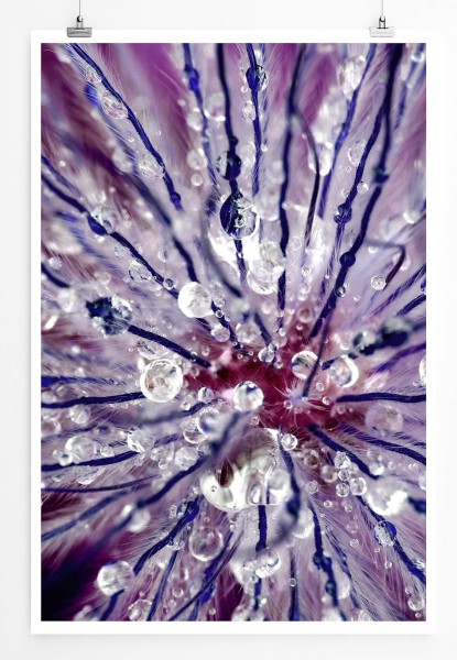 60x90cm Naturfotografie Poster Abstrakte violette Blumen mit Tau