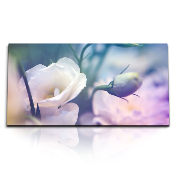 Kunstdruck Bilder 120x60cm Weiße Blume Blüte Kunstvoll Sommer Fotokunst