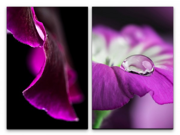 2 Bilder je 60x90cm Blumen Makro Tropfen Blüten Violett Fotokunst Zart