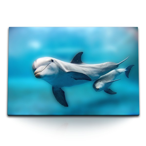120x80cm Wandbild auf Leinwand Delfine Babydelfin Blau Hellblau unter Wasser