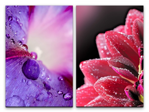 2 Bilder je 60x90cm Wasserperle Blüten Zinnien Blumen Fotokunst Sommer Makrofotografie