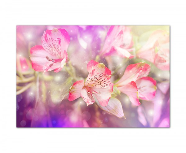 120x80cm Blumen Blüte farbenfroh abstrakt Hintergrund