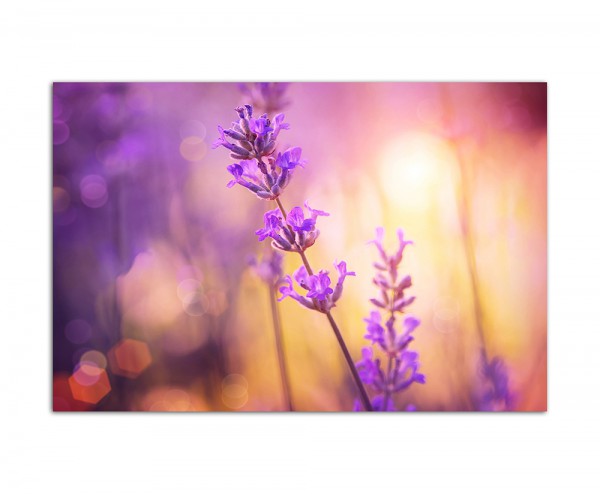 120x80cm Lavendel Sonnenuntergang floral
