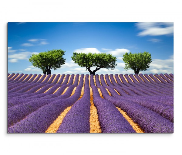 120x80cm Wandbild Frankreich Provence Bäume Himmel Wolken