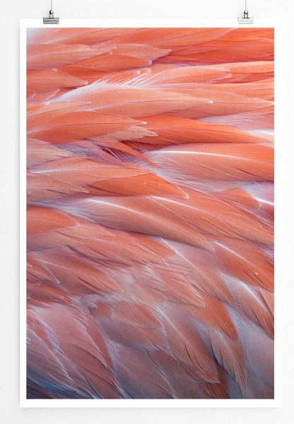 60x90cm Poster Künstlerische Fotografie  Rosa Flamingofedern im Detail