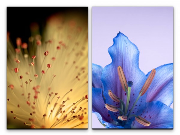 2 Bilder je 60x90cm Blüten Sommer Nahaufnahme Blau Zart Dekorativ Entspannend