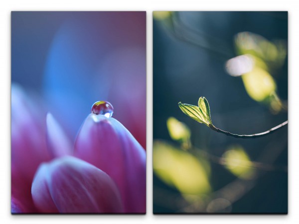 2 Bilder je 60x90cm Wassertropfen Blüte Blumen Frühling Frisch Grün Fokus
