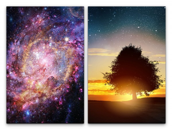 2 Bilder je 60x90cm einsamer Baum Nachthimmel Universum Weltall Sterne Astrofotografie Sommernacht