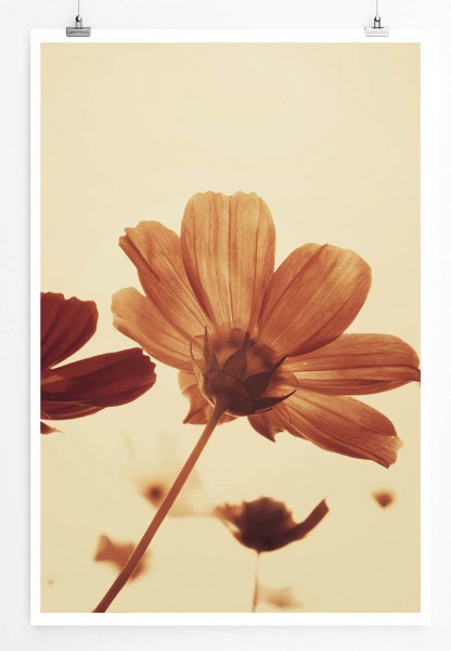 Retro Blumen mit Sepia Himmel 60x90cm Poster