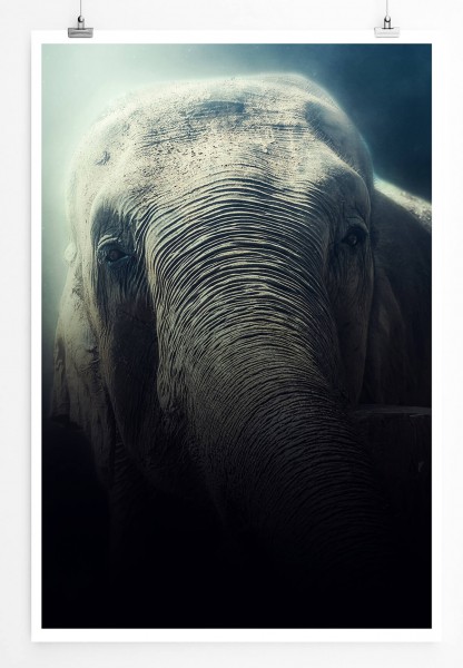 Elefant im Nebel 60x90cm Poster
