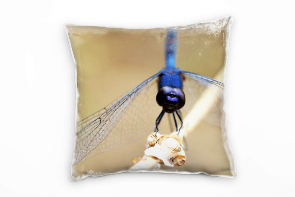 Tiere, Libelle, blau, braun Deko Kissen 40x40cm für Couch Sofa Lounge Zierkissen