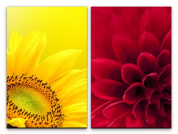 2 Bilder je 60x90cm Dahlie Sonnenblume Gelb Rot Nahaufnahme Blumen Makrofotografie