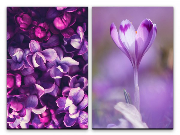 2 Bilder je 60x90cm Orchideen Blüten Blumen Duftend Sommer Dekorativ Feminin