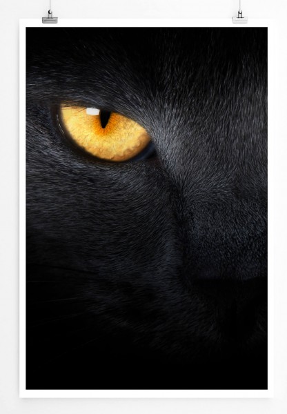 60x90cm Tierfotografie Poster Goldene Augen einer schwarzen Katze 
