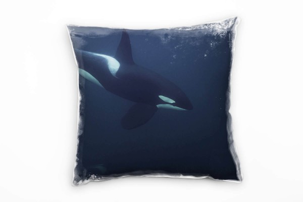 Tiere, Schwertwal, Orca, Unterwasser, grau, blau Deko Kissen 40x40cm für Couch Sofa Lounge Zierkisse