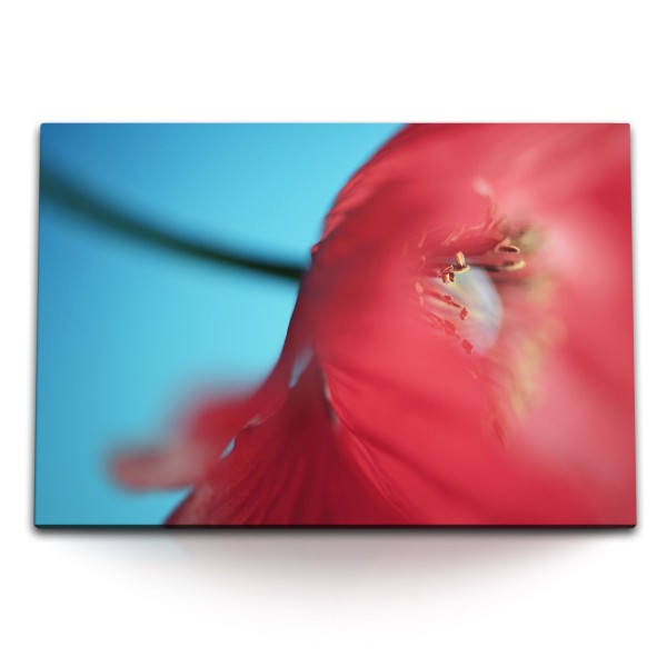 120x80cm Wandbild auf Leinwand Rote Blume Mohn Blüte Rot Makrofotografie