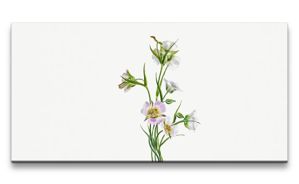 Remaster 120x60cm Wunderschöne Blumen Illustration Dekorativ Kunstvoll Botanik