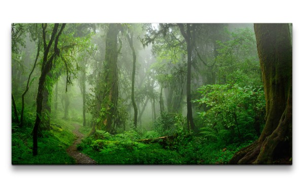 Leinwandbild 120x60cm Wald Moos Grün Feucht Natur Bäume Nebel