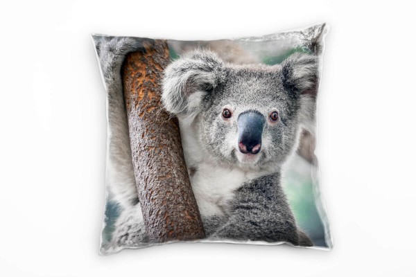 Tiere, Koalabär am Ast, braun, grau Deko Kissen 40x40cm für Couch Sofa Lounge Zierkissen