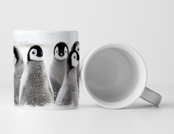 Tasse Geschenk Tierfotografie – Gruppe von Pinguinbabys im Schnee 