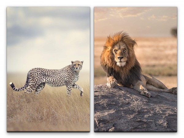 2 Bilder je 60x90cm Gepard Löwe Afrika Wildnis Safari Kraft Raubkatze