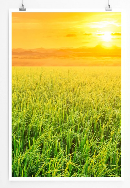 60x90cm Poster Landschaftsfotografie  Oranger Sonnenaufgang über einem Reisfeld