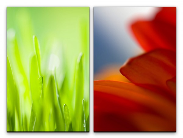 2 Bilder je 60x90cm Wiese Gras Grün Rot Blumen Frische Sommer