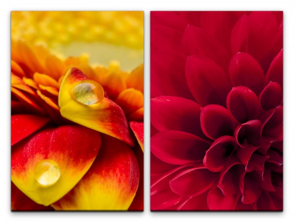 2 Bilder je 60x90cm Dahlie Wassertropfen Zinnien Orange Blumen Blüten Makrofotografie