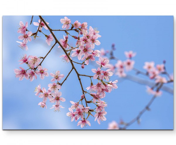 Pinke Frühlingsblüten - Leinwandbild