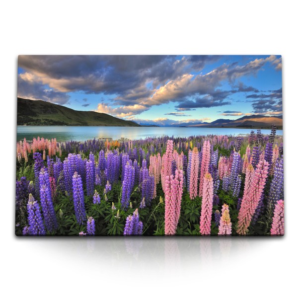 120x80cm Wandbild auf Leinwand Neuseeland Landschaft Wildblumen Blumen See Berge