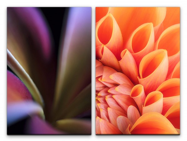 2 Bilder je 60x90cm Dahlie Blumen Blüten Sanft Dekorativ Fotokunst Makrofotografie