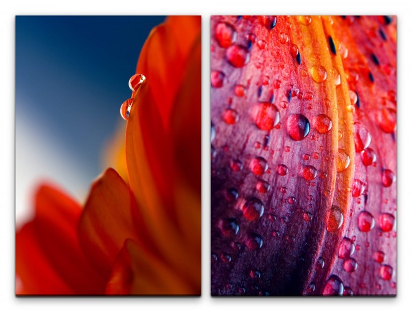 2 Bilder je 60x90cm Blumen Wassertropfen Rot Blüten Nahaufnahme Makro Fotokunst
