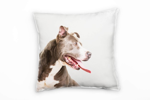 Tiere, Hund, grau, braun Deko Kissen 40x40cm für Couch Sofa Lounge Zierkissen