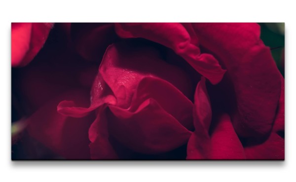 Leinwandbild 120x60cm Rose Rosenblüte Rot Romantisch Liebe Leidenschaft