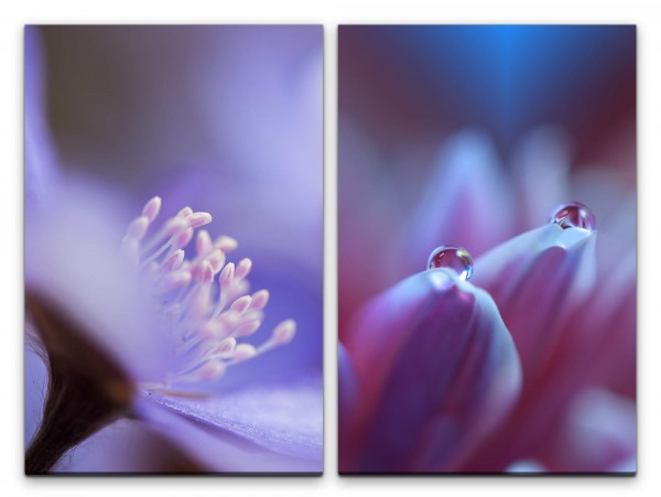 2 Bilder je 60x90cm Blumen Blüten Wassertropfen Sanft Zart Natur Makrofotografie