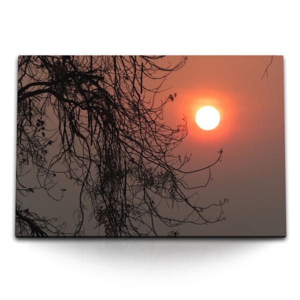 120x80cm Wandbild auf Leinwand Abendsonne Baumkrone Natur Abenddämmerung
