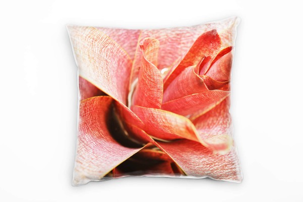 Macro, Blumen, rot, exotisch Deko Kissen 40x40cm für Couch Sofa Lounge Zierkissen