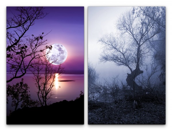 2 Bilder je 60x90cm Vollmond Nebel Bäume Mystisch Nacht See Geheimnisvoll