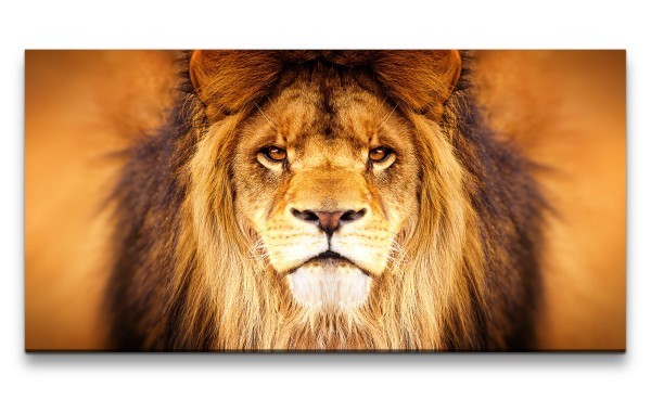 Leinwandbild 120x60cm Löwe Porträt Wild schönes Tier Tierfotografie Raubkatze