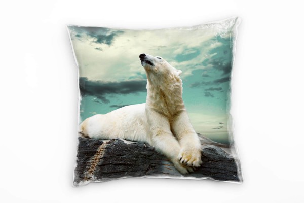 Tiere, weiß, grau, türkis, Eisbär auf der Felsen Deko Kissen 40x40cm für Couch Sofa Lounge Zierkisse