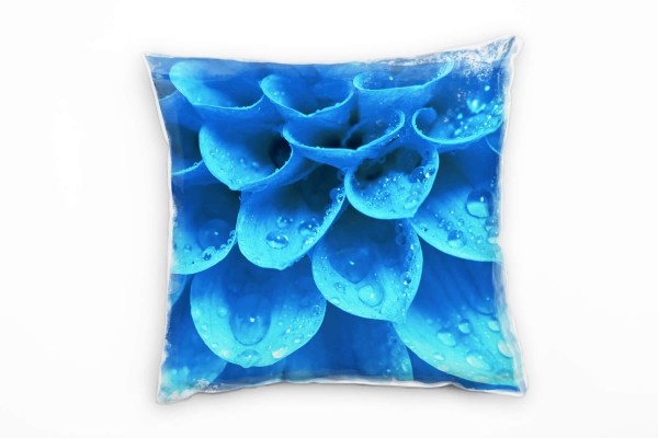 Macro, Blumen, blau, Blütenblätter mit Wassertropfen Deko Kissen 40x40cm für Couch Sofa Lounge Zierk