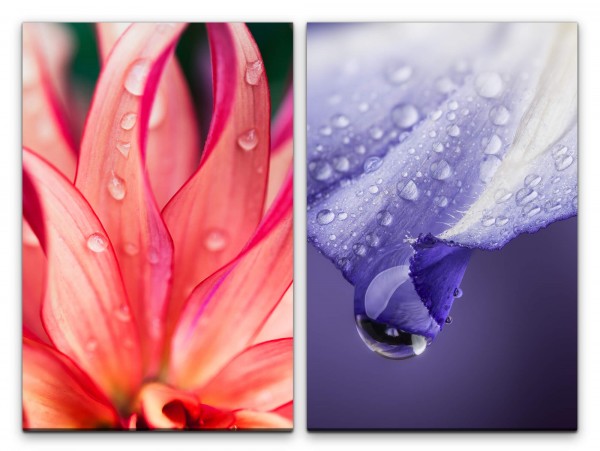 2 Bilder je 60x90cm Orchidee rosa Blüte Wasserperle Blau Fotokunst Erfrischend Makrofotografie
