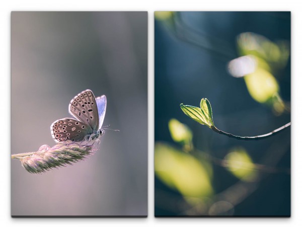 2 Bilder je 60x90cm Frühling Schmetterling Zweit Sanft Stille Entspannend Beruhigend