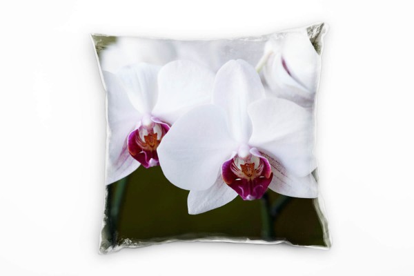 Macro, Blume, weiß, lila, grün Deko Kissen 40x40cm für Couch Sofa Lounge Zierkissen