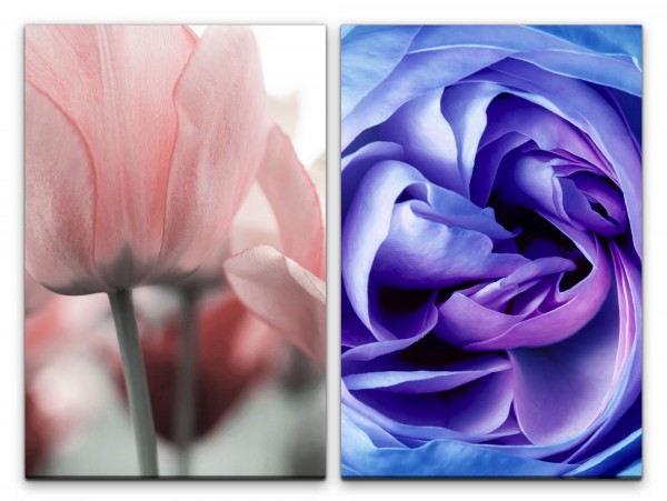 2 Bilder je 60x90cm Tulpen Rosenblüte Blau Seide Romantisch Sanft Makrofotografie
